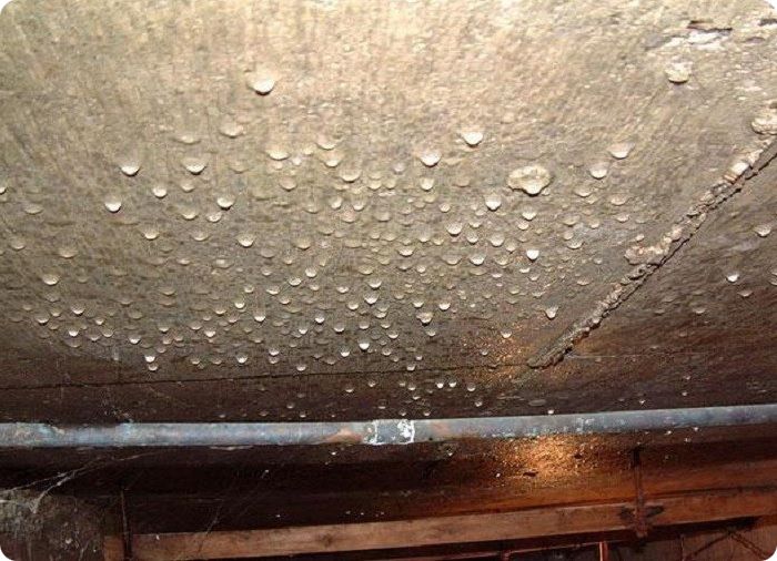При постоянно повышенной влажности на стенах, потолке и полу появляются капли воды, которая является благоприятной средой для развития плесневелых и грибковых микроорганизмов.