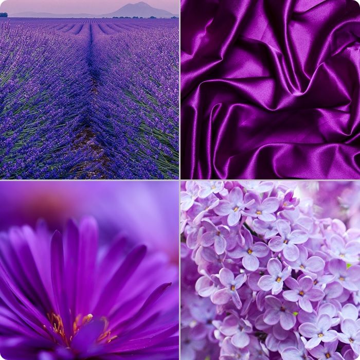 Фиолетовый – вдохновляющий, яркий, задающий тематику цвет, положительно влияющий на мозговую деятельность.