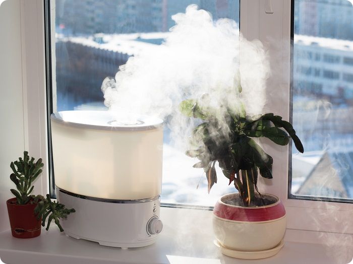 Комнатные растения и увлажнители воздуха помогают сохранять оптимальный уровень влажности в помещении.