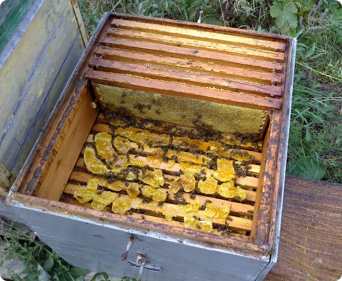 Изготовление ульев для пчёл требует следующих материалов: